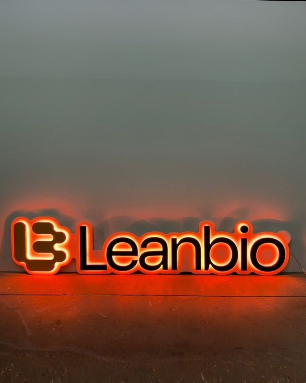 Instagram post from viavisual.sl. This post is in position 3.