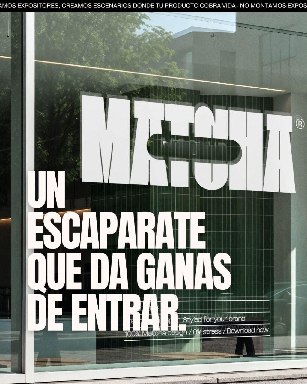 Instagram post from viavisual.sl. This post is in position 2.