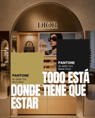 Instagram post from viavisual.sl. This post is in position 1.