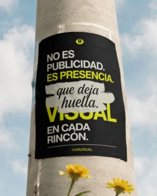 Instagram post from viavisual.sl. This post is in position 2.