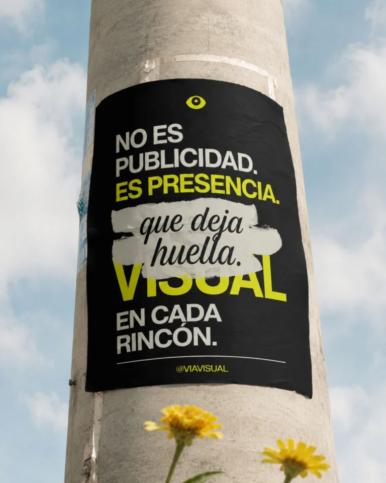 Instagram post from viavisual.sl. This post is in position 1.