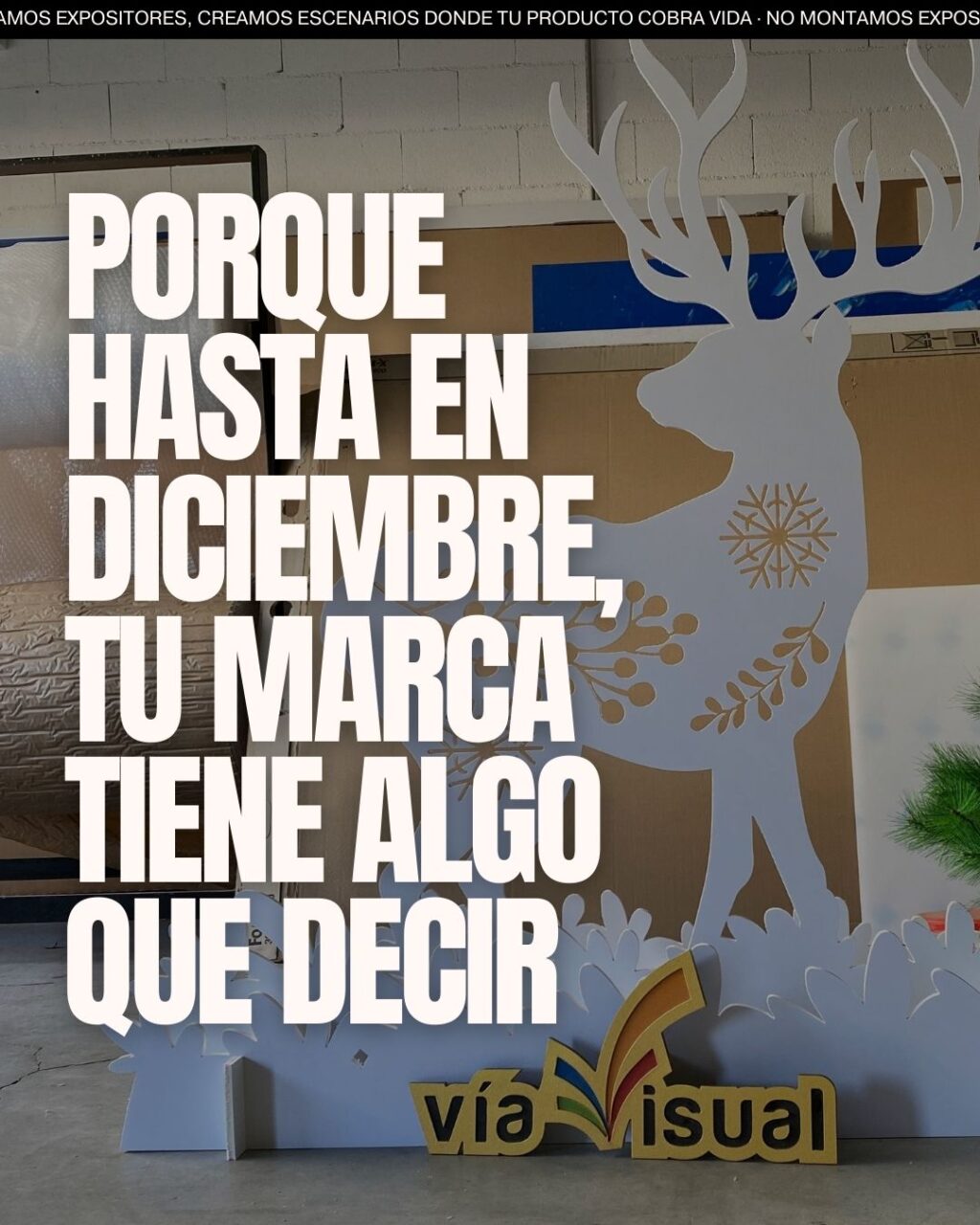 Instagram post from viavisual.sl. This post is in position 1.